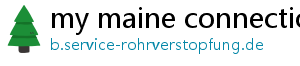 my maine connection